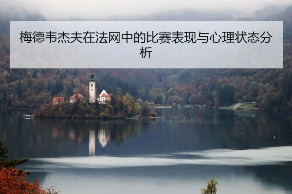 mei-de-wei-jie-fu-zai-fa-wang-zhong-de-bi-sai-biao-xian-yu-xin-li-zhuang-tai-fen-xi-2-940.jpg